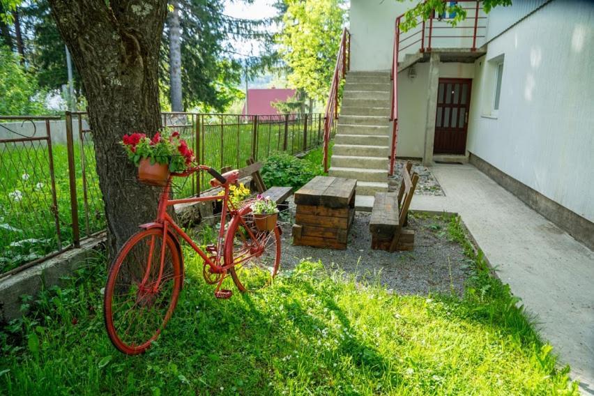 Apartments Grbovic Жабляк Экстерьер фото